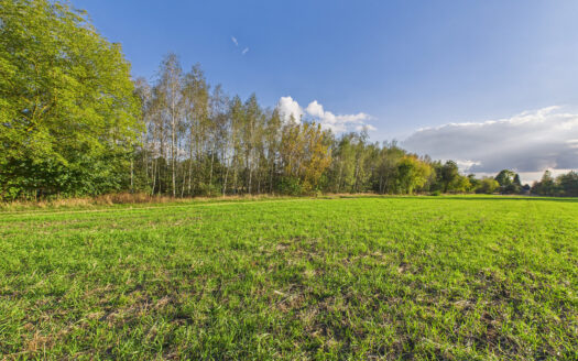 🌳 Spokojna działka budowlana w otoczeniu natury – Dęblin, ul. Długa – 1220 m²